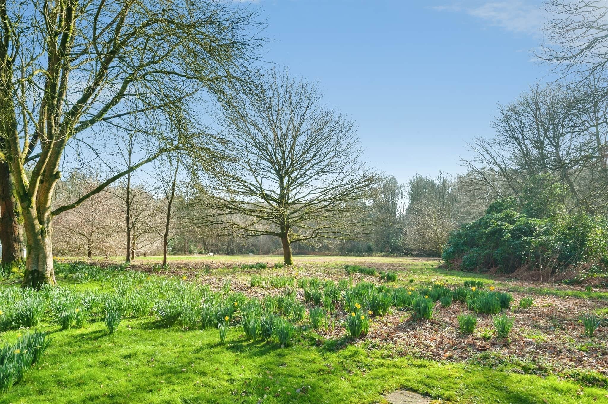 Property photo 22